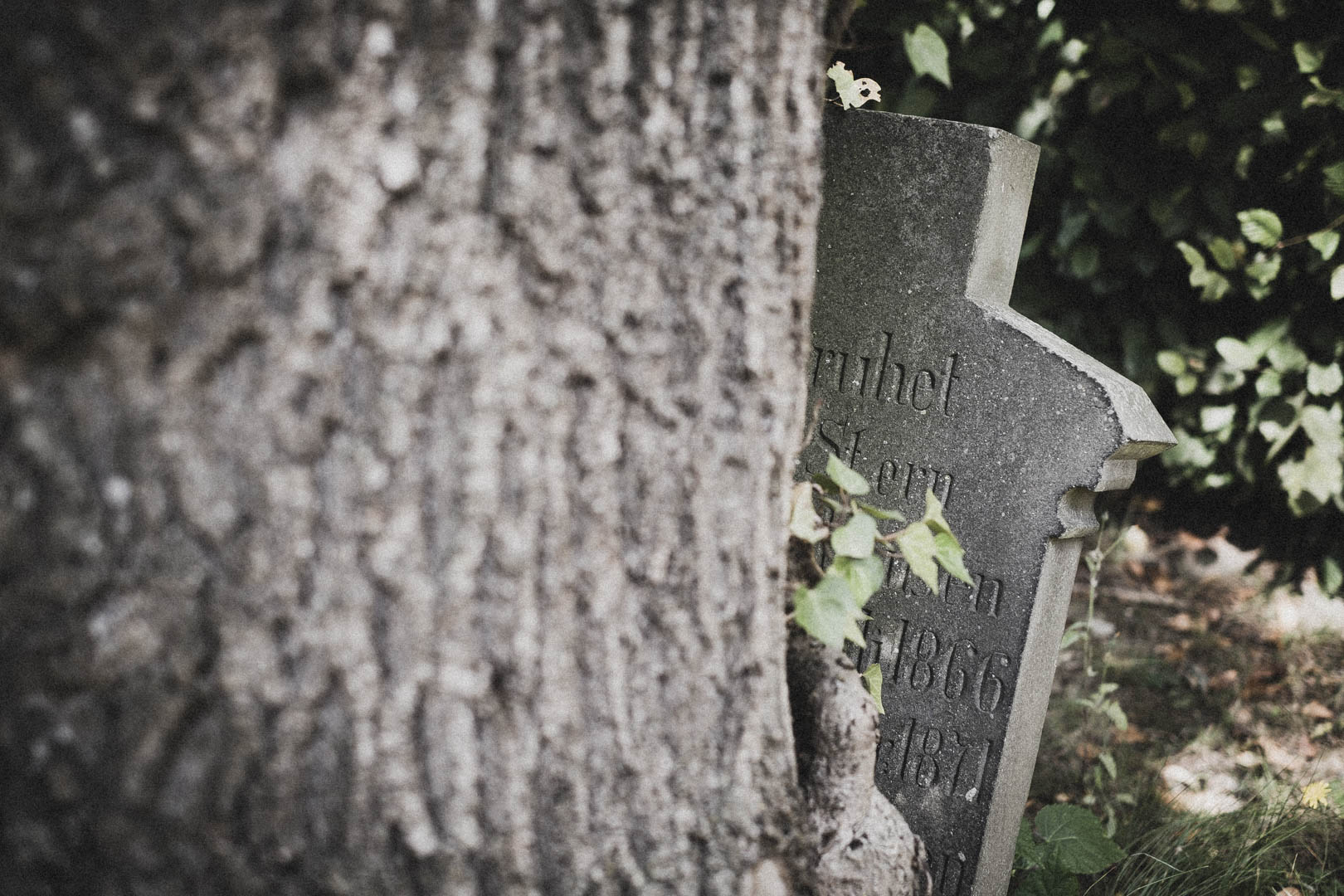 Vlotho, Jüdischer Friedhof